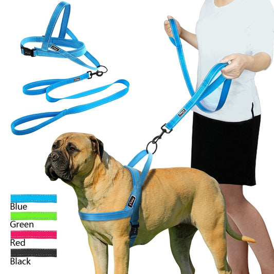 🐾 No Pull Reflective Dog Harness & Leash Set — Walks Made Easy
