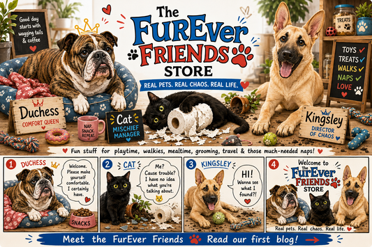 Welcome to The FurEver Friends Store | Meet Our Pets