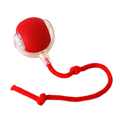 Interactive Motion Cat Ball Toy – Automatic Rolling Toy for Indoor Cats