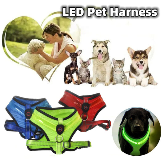 🌙 LED Luminous Dog Harness — Bright Walks, Safe Nights!