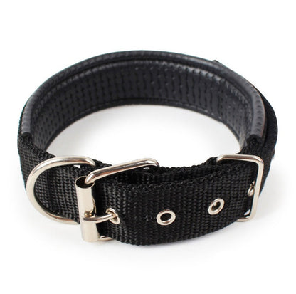 Adjustable Nylon Dog Collar with Soft Padded Lining