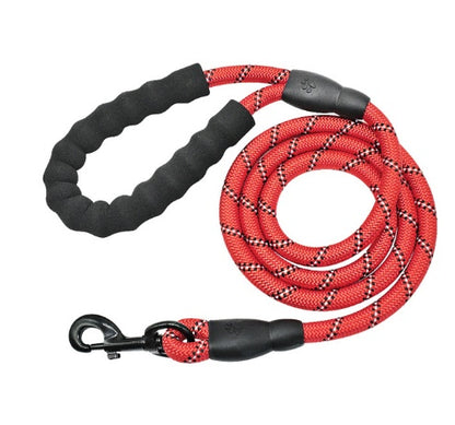 Reflective Nylon Dog Leash with Comfort Grip Handle