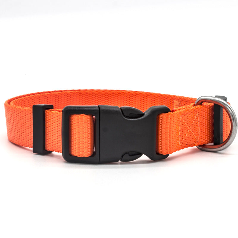 Adjustable Nylon Dog Collar – Soft Durable Collar for Small to Large Dogs