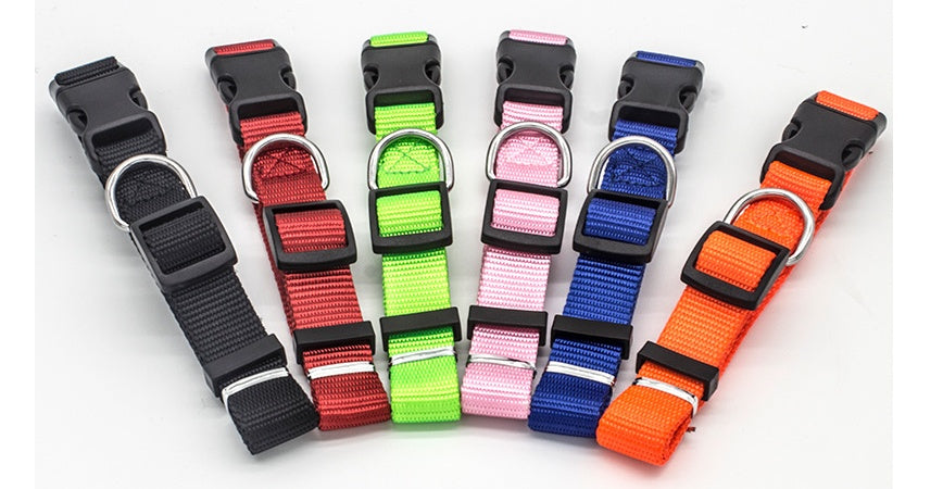 Adjustable Nylon Dog Collar – Soft Durable Collar for Small to Large Dogs