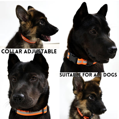 Reflective Dog Leash
