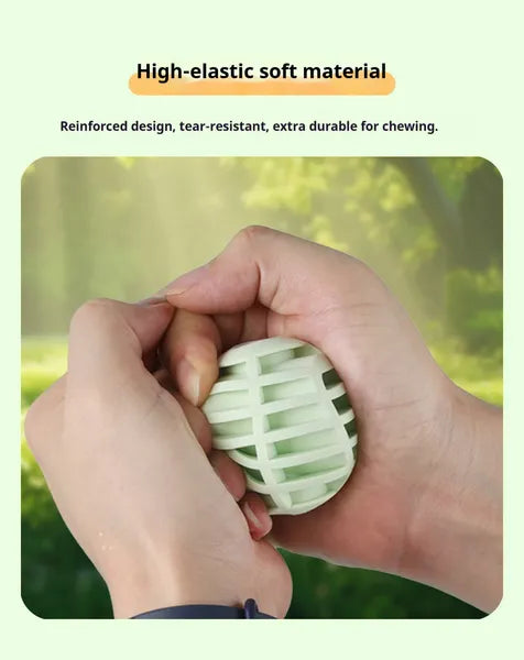 Interactive Squeaky Pet Ball – Sound Ball Toy for Dogs & Cats
