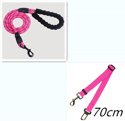 Reflective Nylon Dog Leash with Comfort Grip Handle