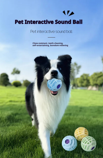 Interactive Squeaky Pet Ball – Sound Ball Toy for Dogs & Cats