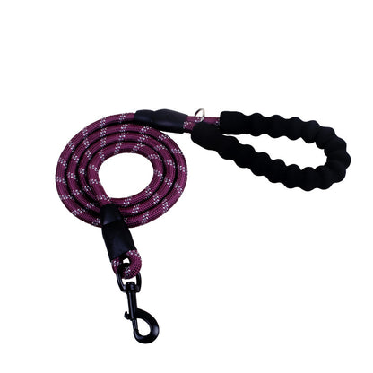 Reflective Nylon Dog Leash with Comfort Grip Handle