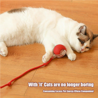 Interactive Motion Cat Ball Toy – Automatic Rolling Toy for Indoor Cats
