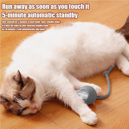 Interactive Motion Cat Ball Toy – Automatic Rolling Toy for Indoor Cats