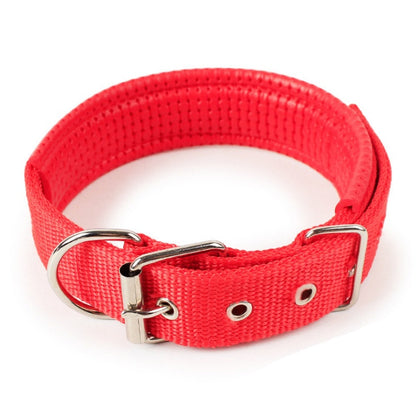 Adjustable Nylon Dog Collar with Soft Padded Lining