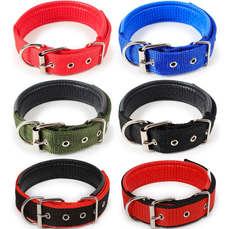 Adjustable Nylon Dog Collar with Soft Padded Lining