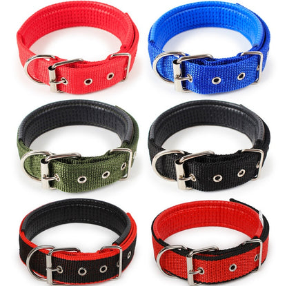 Adjustable Nylon Dog Collar with Soft Padded Lining