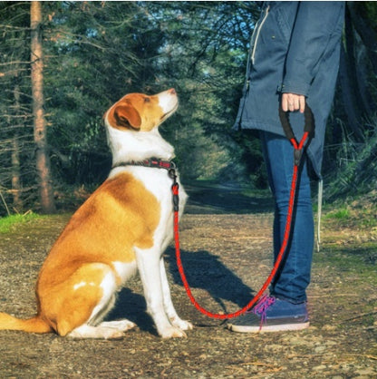 Reflective Nylon Dog Leash with Comfort Grip Handle