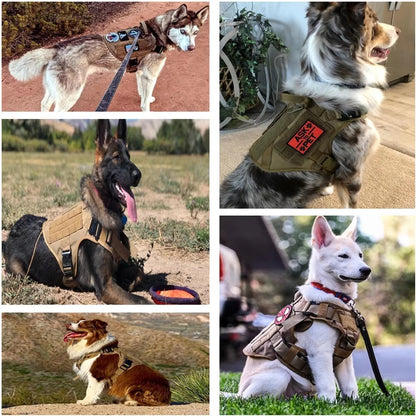 TrailGuard™ Tactical Dog Harness & Leash Set – Heavy Duty Adjustable Adventure Harness