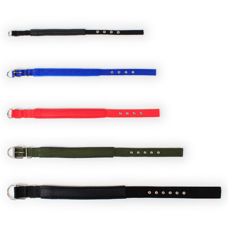 Adjustable Nylon Dog Collar with Soft Padded Lining