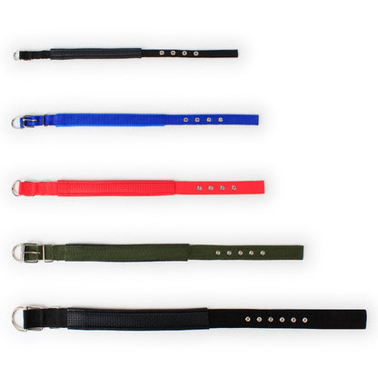 Adjustable Nylon Dog Collar with Soft Padded Lining