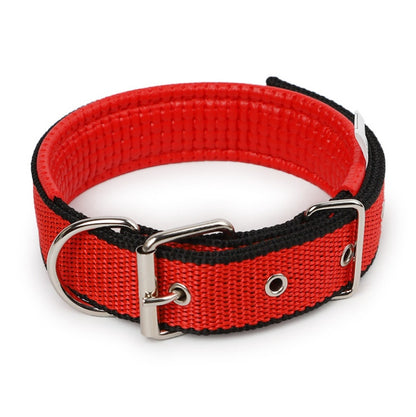 Adjustable Nylon Dog Collar with Soft Padded Lining