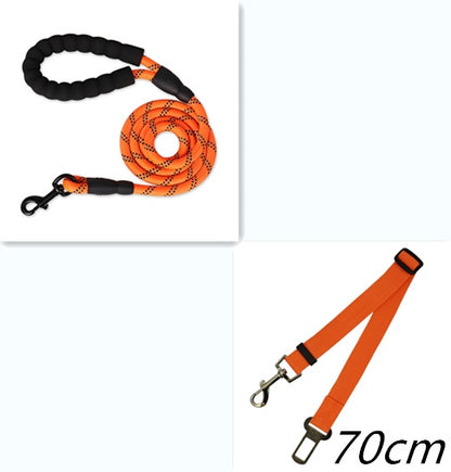 Reflective Nylon Dog Leash with Comfort Grip Handle