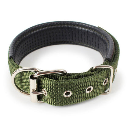 Adjustable Nylon Dog Collar with Soft Padded Lining