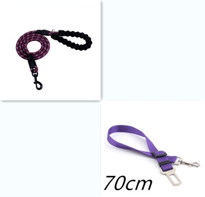 Reflective Nylon Dog Leash with Comfort Grip Handle