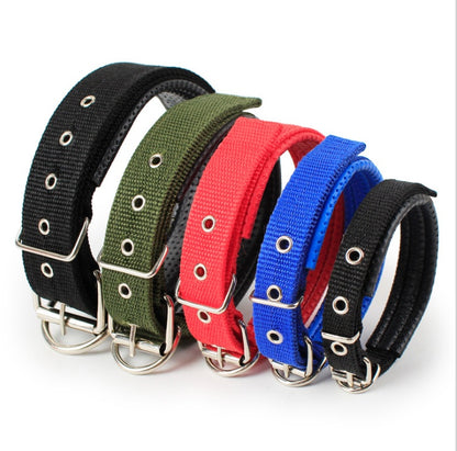 Adjustable Nylon Dog Collar with Soft Padded Lining
