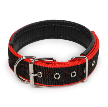 Adjustable Nylon Dog Collar with Soft Padded Lining
