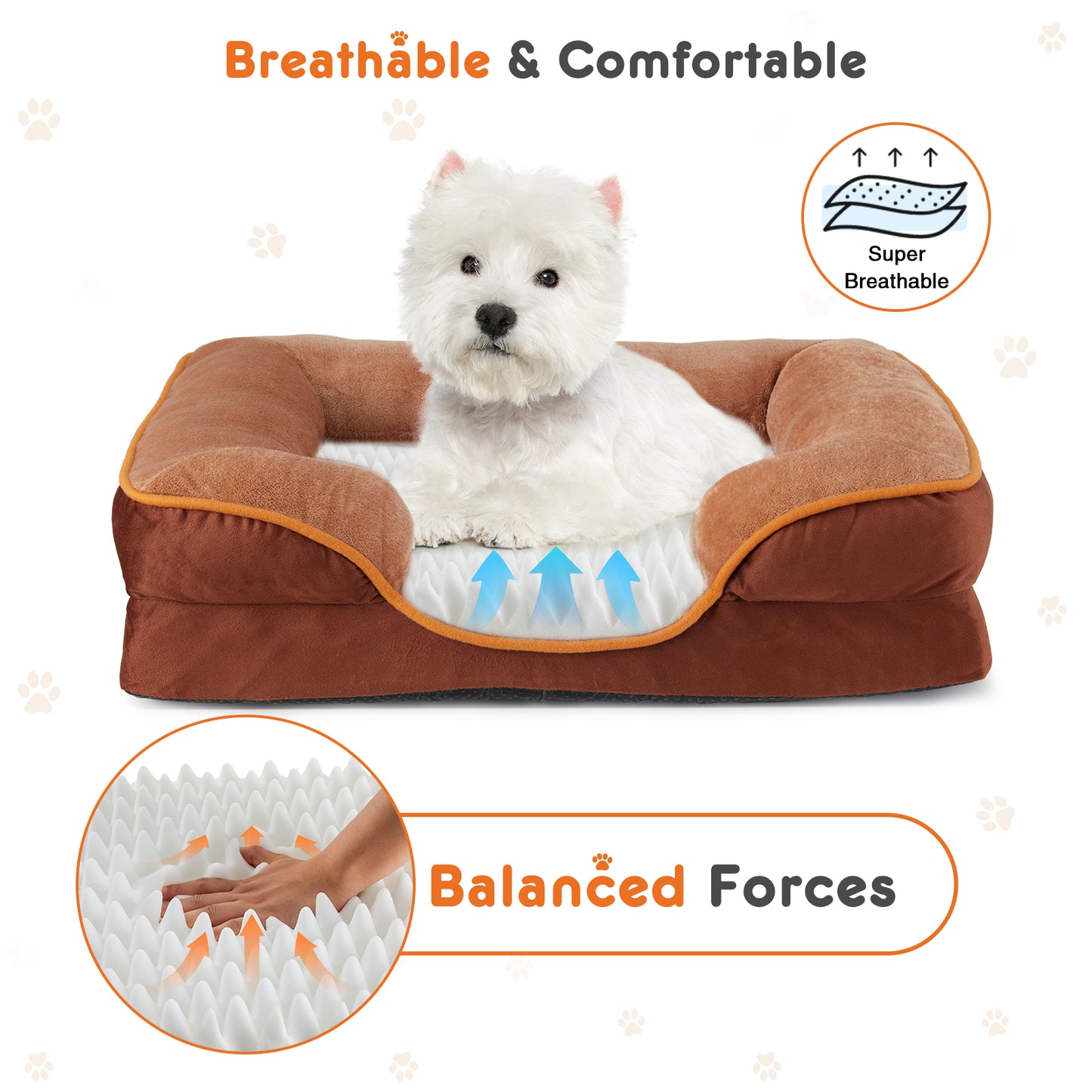 Orthopedic Memory Foam Pet Bed with Washable Cover