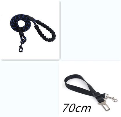 Reflective Nylon Dog Leash with Comfort Grip Handle
