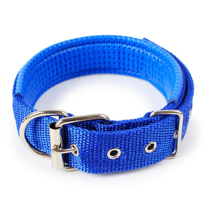 Adjustable Nylon Dog Collar with Soft Padded Lining
