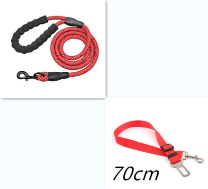 Reflective Nylon Dog Leash with Comfort Grip Handle