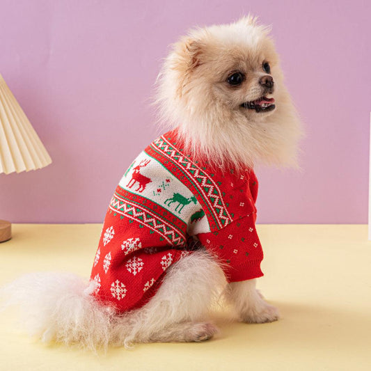 🎄 Festive Holiday Pet Sweater — Cozy, Knitted & Christmas-Card Cute!