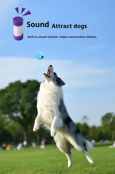 Interactive Squeaky Pet Ball – Sound Ball Toy for Dogs & Cats