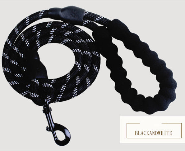 Reflective Nylon Dog Leash with Comfort Grip Handle