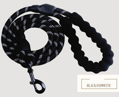 Reflective Nylon Dog Leash with Comfort Grip Handle