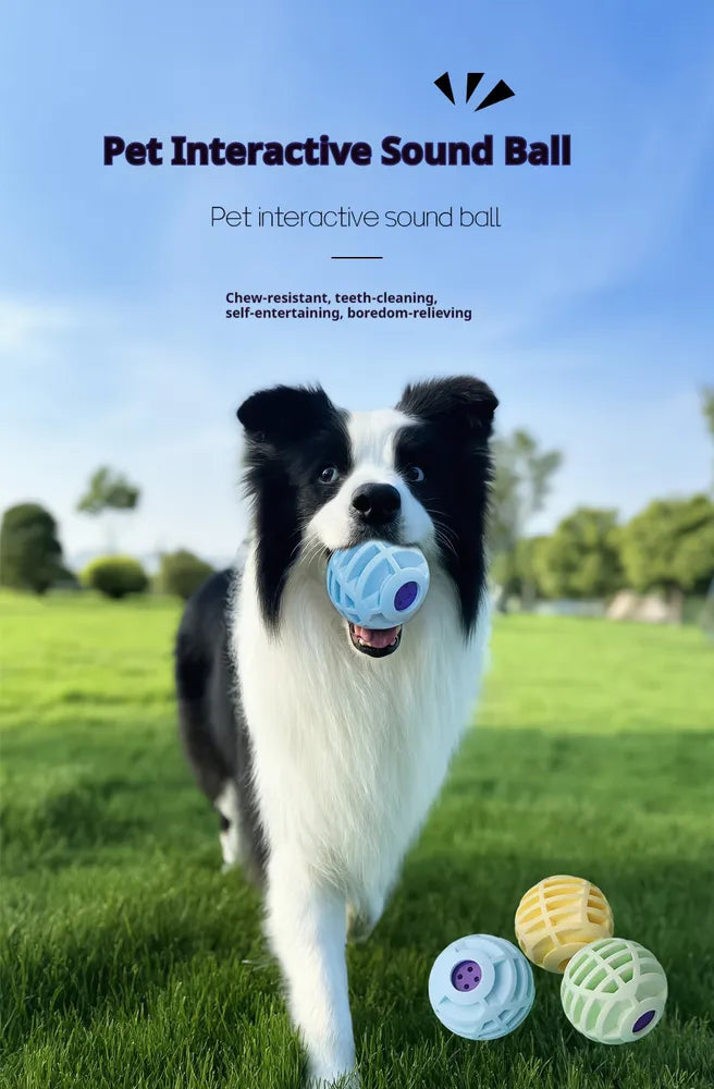 Interactive Squeaky Pet Ball – Sound Ball Toy for Dogs & Cats