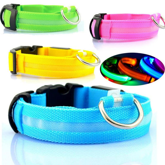 🌙 USB Rechargeable LED Pet Collar — Brighter Walks, Safer Nights!