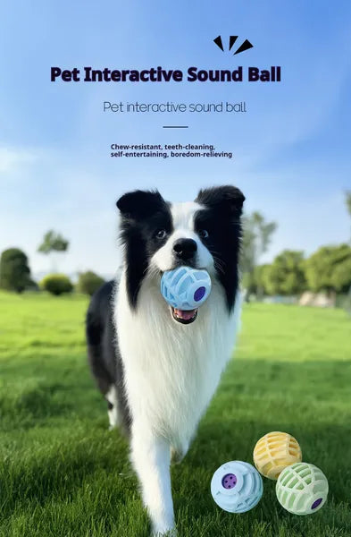 Interactive Squeaky Pet Ball – Sound Ball Toy for Dogs & Cats