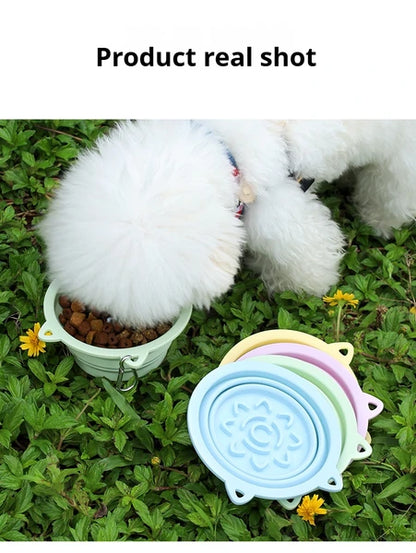 3-in-1 Collapsible Travel Pet Bowl